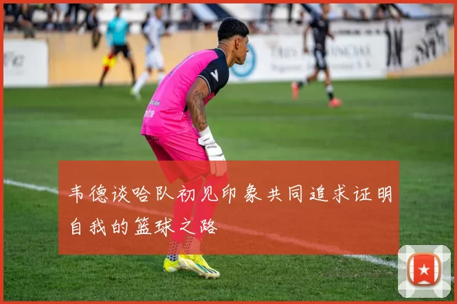 韦德谈哈队初见印象共同追求证明自我的篮球之路