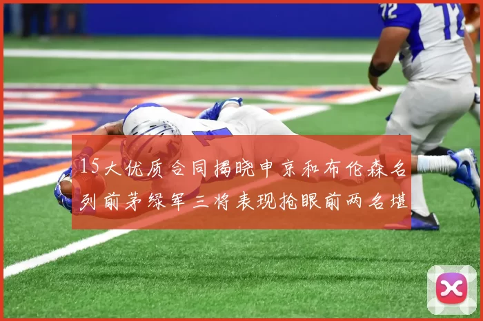 15大优质合同揭晓申京和布伦森名列前茅绿军三将表现抢眼前两名堪称传奇